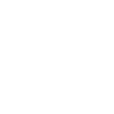pedrovidal