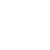 pulso