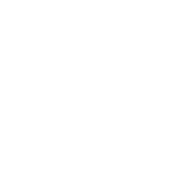 swarovski